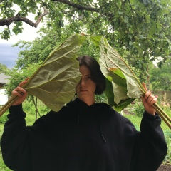 Александрин Александрин, 08.08.1989, Санкт-Петербург