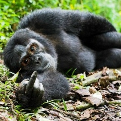 Талгат Багланов, 22.11, Алматы