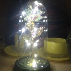 Наталья Попова, Самара