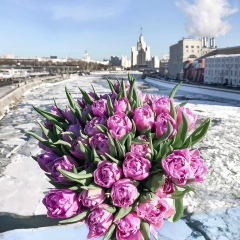 Мария Минеева, Москва