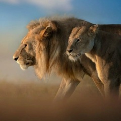 Евгения Бармасова, Москва