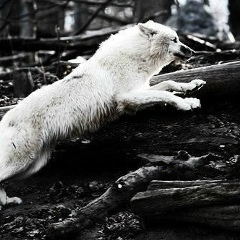 Артем Яцюк, 14.03.1988, Нетешин