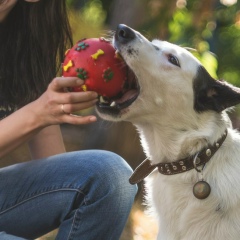 Иринка Ларионова, 14.01.1986, Новосибирск