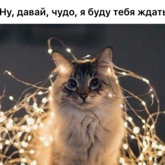 Фати Гедгагова, 11.01, Нальчик