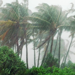 Яна Кясперова