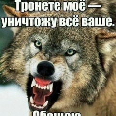 Asil Asil, Москва