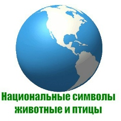 National Symbols, 01.01, Иркутск