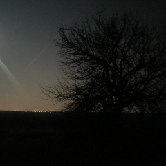 Алексей Иванович, 29.08.1985, Canata