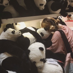 Яна Милай, 13.12, Москва