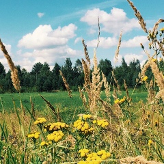 Иван Лавник, 02.03, Ставрополь