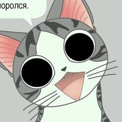 Марина Келколовская, 02.10.1989, Санкт-Петербург