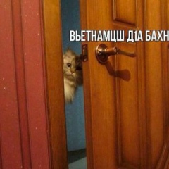 Мансур Шовхалов, 05.01.2000