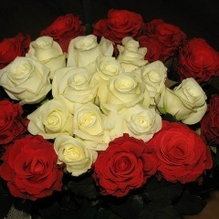 Наталья Аруева