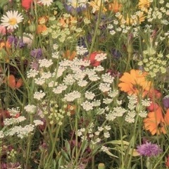 Иван Дзядык, 01.03