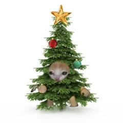 Серёжа Буняков, 04.06.1997, Москва