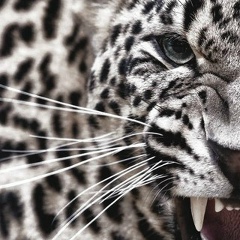 Кирилл Титов, 09.06, Москва