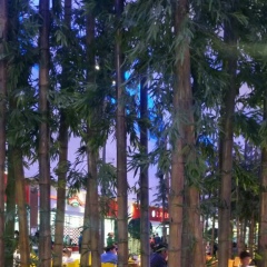 Aisholpan Tanirbergen