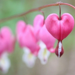 Эльмира Абдуалиева, 27.11.1985, Алматы