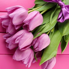 Юлия Побегайло, 17.09, Киев