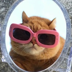 Татьяна Пинигина, 13.01, Санкт-Петербург