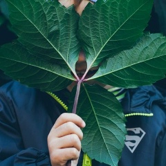 Андрей Степанов, 19.07.1984, Самара