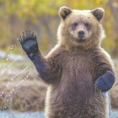 Сергей Медведев, 09.06.1987, Чебоксары