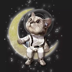 Евгений Никитин, 10.06.1983, Санкт-Петербург