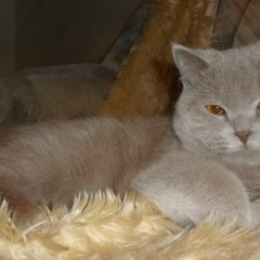 Павел Мик, 05.03