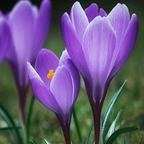 Елена Решетова, 18.06.1984, Херсон