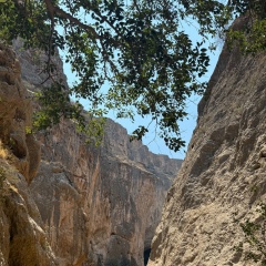 Игорь Яганев, 18.04