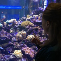 Елена Ш, Москва