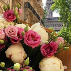 Ирина Шигорина, Санкт-Петербург