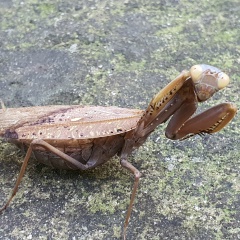Владимир Романюк, 21.02.1986, Санкт-Петербург