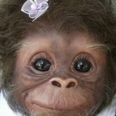 Асель Байдуанова, 16.03, Алматы