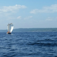 Александр Чижов, Санкт-Петербург