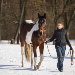 Екатерина Дьяченко