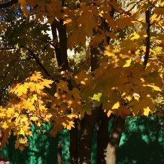 Марина Сорокина, 03.06