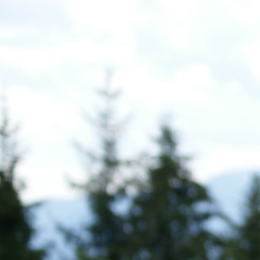 Олег Тимофеев, 04.02, Одинцово