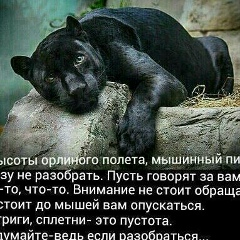 Али Хаджиев, 13.10, Грозный