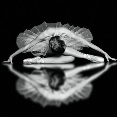 Kass Cookbook, Москва