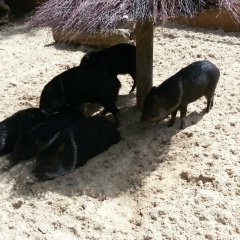 Виктория Иванова, 28.07.1997