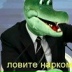 Genos Черданцев, 28.04.1988, Барнаул