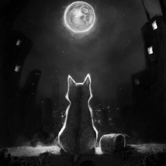 Стас Банник, 14.01