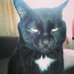 Василька Пулатов, 13.10.2000, Екатеринбург