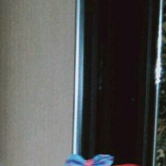 Ислам Гашизов, 03.12, Тараз