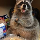 Тимур Урынбаев, 14.04.1986, Алматы