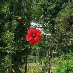 Виктория Миллер, 07.07, Санкт-Петербург