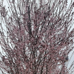 Ольга Брюхова, 29.07.1989, Санкт-Петербург