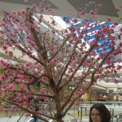 Валентина Непомнящая, 16.01.1989, Ковров