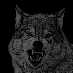 Егор Бутенко, Новосибирск